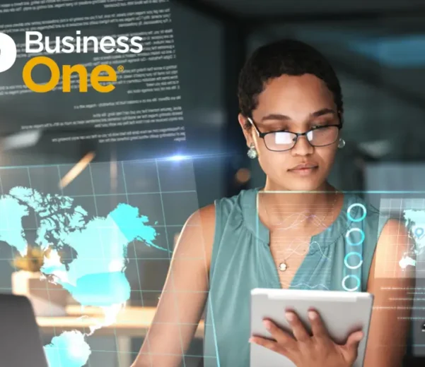 ERP SAP BUSINESS ONE